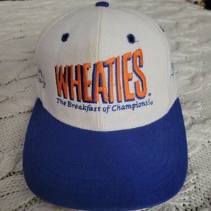 NASCAR Dale Earnhardt Hat